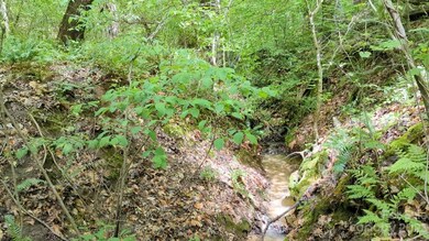 00 Crooked Ln, Statesville, NC 28625 - photo 4