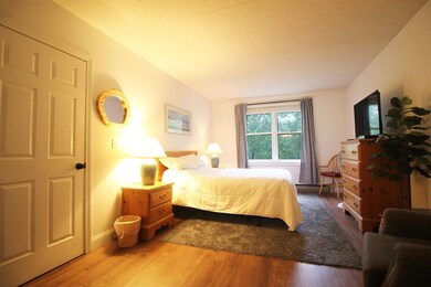 28 Packard Rd S unit 408, Waterville Valley, NH 03215 - photo 5