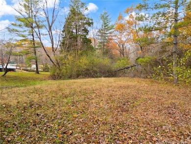 0 W Pedora School Rd unit 2025012305, Patoka Township, IN 47116 - photo 3