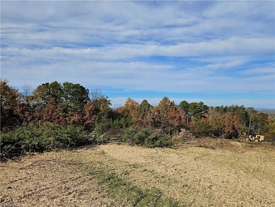 00 Whitaker Chapel Rd unit 10, Pilot Mountain, NC 27041 - photo 4