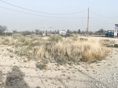 2147 N Crockett, Fort Stockton, TX 79735 - photo 5