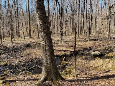 0 Andrew Mountain Rd unit 170603648, Naugatuck, CT 06770 - photo 4