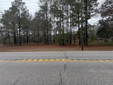 2471 Wedgefield Rd, Sumter, SC 29154 - photo 2