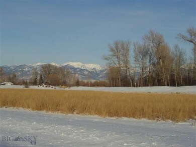 Bridger view