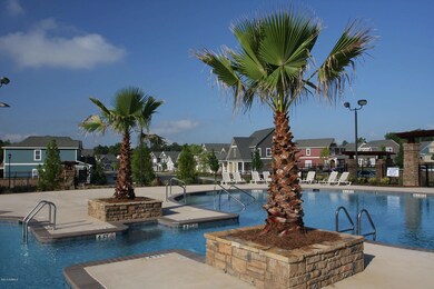palm-trees-2