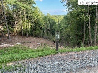 13 Wilderness Reserve Pkwy, Deep Gap, NC 28618 - photo 6