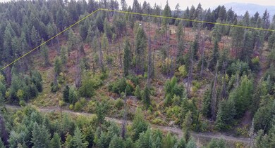 2784 Red Tail Way, Colville, WA 99114 - photo 4