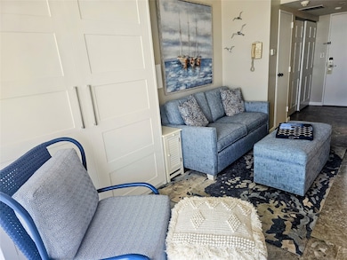 Living Area w/ Murphy Bed & Sleeper Sofa