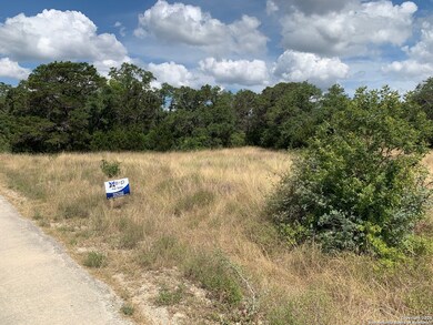 20124 High Bluff Rd, Helotes, TX 78023 - photo 2