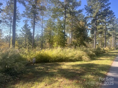 2478 Jumping Run unit 52, Connelly Springs, NC 28612 - photo 4