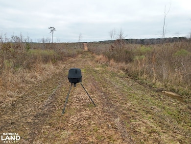 Hwy 13 Morton Ms, Morton, MS 39117 - photo 3