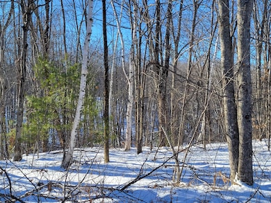 11 Symmes Dr, Newfield, ME 04095 - photo 3