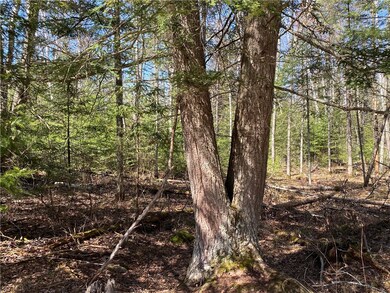 0 N Clover Road Blaisdell Ct unit 1591709, Draper, WI 54896 - photo 4