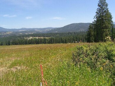 Pasture
