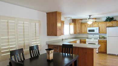 IMG_3994_edited-1
