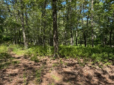 02 John Hoft Rd unit 2, Tisbury, MA 02568 - photo 2