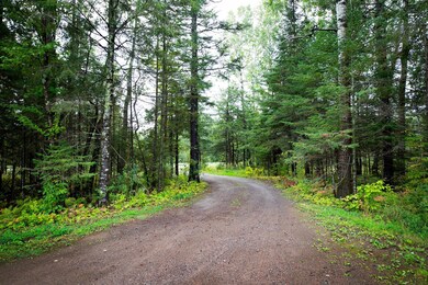 239 E Highway 61, Esko, MN 55733 - photo 2