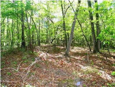 Another potential homesite.