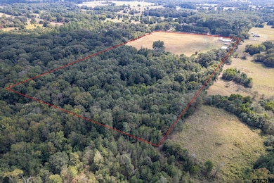 1393 County Road 4940, Quitman, TX 75783 - photo 2