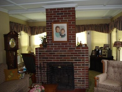 Living fireplace