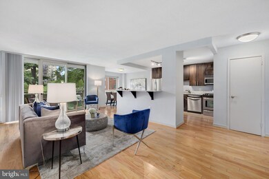 Takoma Overlook Condominium unit 219W, Takoma Park, MD 20912 - photo 4