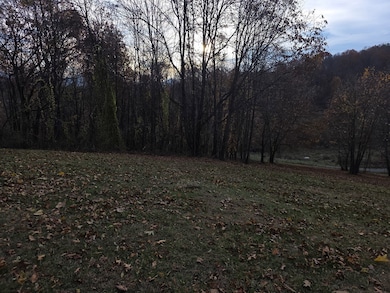 412 Yorkshire Rd, North Tazewell, VA 24630 - photo 7