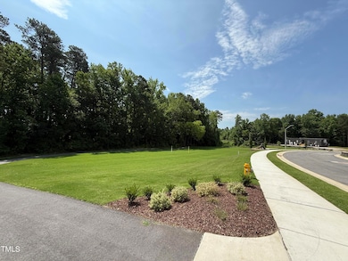 play lawn