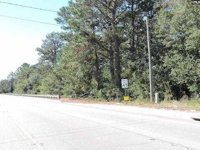 1250 S Lake Dr, Lexington, SC 29073 - photo 2