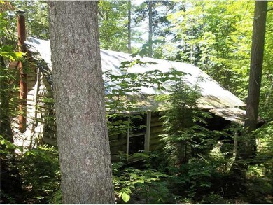 Exterior Back. Needs a new roof and...
