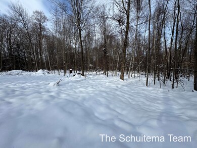 V/L Hickory St, Fruitport, MI 49415 - photo 7