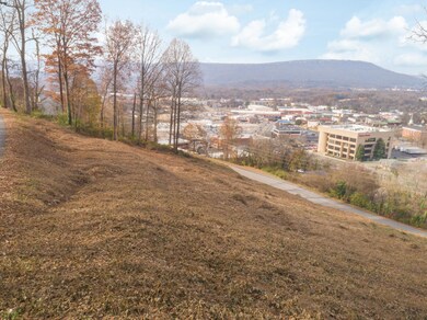 0 Clift Trail unit 1328665, Rossville, GA 30741 - photo 2