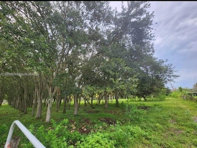 18200 SW 50th Ct, Southwest Ranches, FL 33331 - photo 5