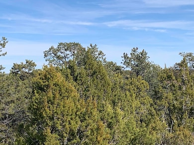 7310 Red Feather Ct, Happy Jack, AZ 86024 - photo 3