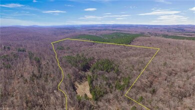 3567 Tot Hill Farm Rd, Asheboro, NC 27205 - photo 7