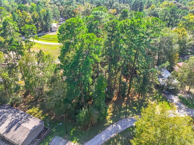 0 Harbor Point Section B, Trinity, TX 75862 - photo 6