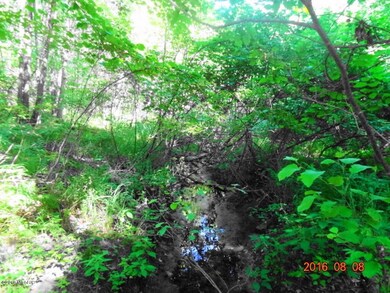 0 Par A Centerline, White Cloud, MI 49349 - photo 7