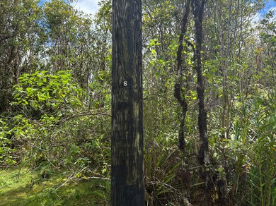 0 Alapua St unit 725668, Mountain View, HI 96771 - photo 7