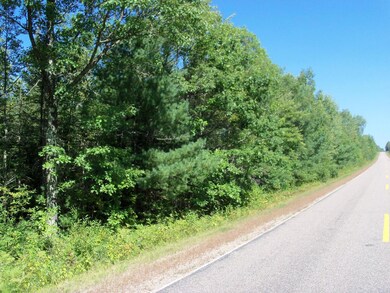 W8092 Cth O, Tomahawk, WI 54487 - photo 4