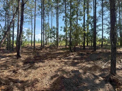 KF 4 State Road S-28-354 unit KF 4, Kershaw, SC 29067 - photo 6