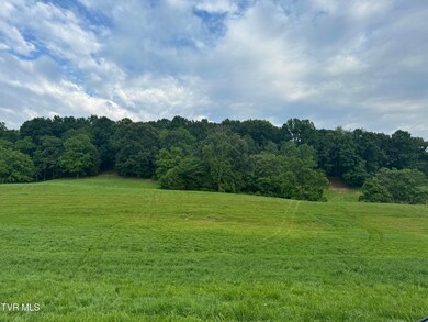 IMG_6155