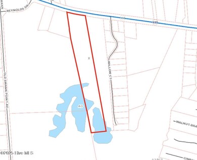 0 Near 715 N Carolina 133, Rocky Point, NC 28457 - photo 4