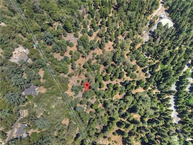 0 Pine unit IG25156077, Twin Peaks, CA 92391 - photo 2