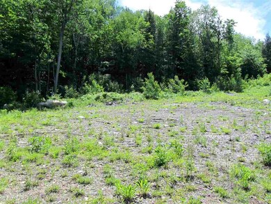 0 Stewart Foss Mountain Rd unit 13,21.22 4761929, Eaton, NH 03832 - photo 4