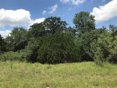 1190 N Lakeview Dr, Palo Pinto, TX 76484 - photo 4