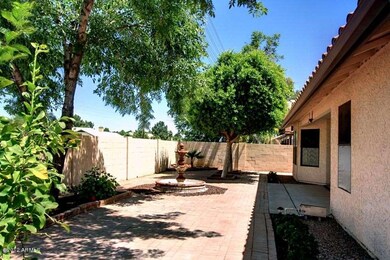 Back Yard 2