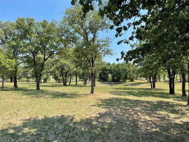 3800 Hott Ln, Weatherford, TX 76088 - photo 6