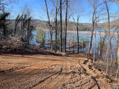 LOT 22 Snug Harbor Rd, Grant, AL 35747 - photo 5