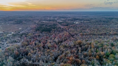 0000 Pettey Rd, Forest, MS 39074 - photo 6