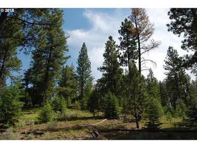 0 11s3917 Tl 1900 unit 18468433, Sumpter, OR 97877 - photo 2