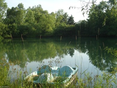 Relax on the Paddleboat That Will Remain With the 